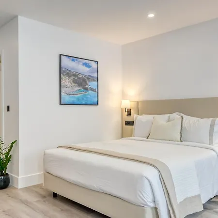 Bse15 3h, A In Madeira